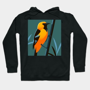 Hooded oriole Hoodie